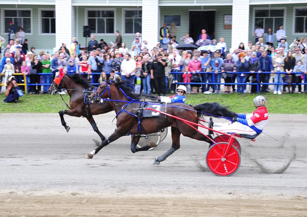 Фотография автора Дмитрий Старостин