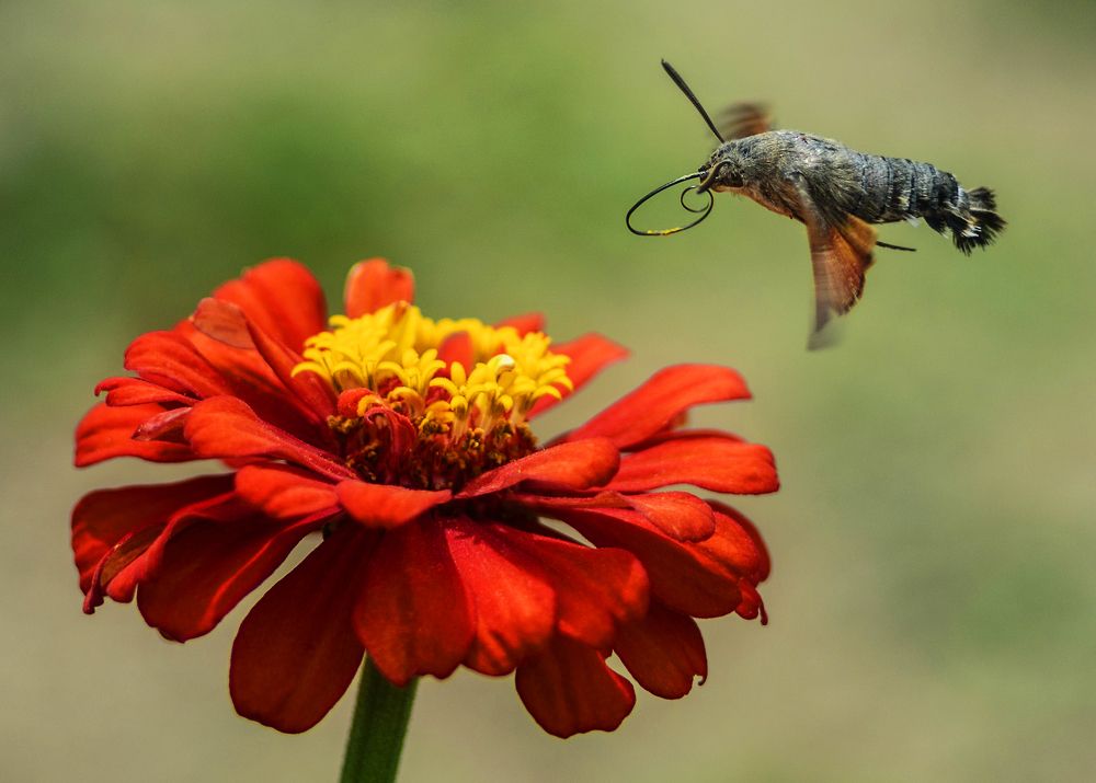 На подлете...