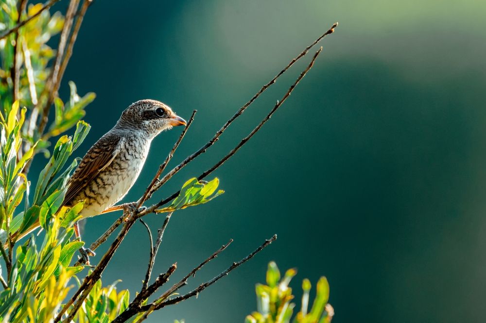 Photograph by Kamil Stępień