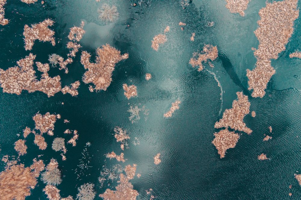 Photograph by Kamil Stępień