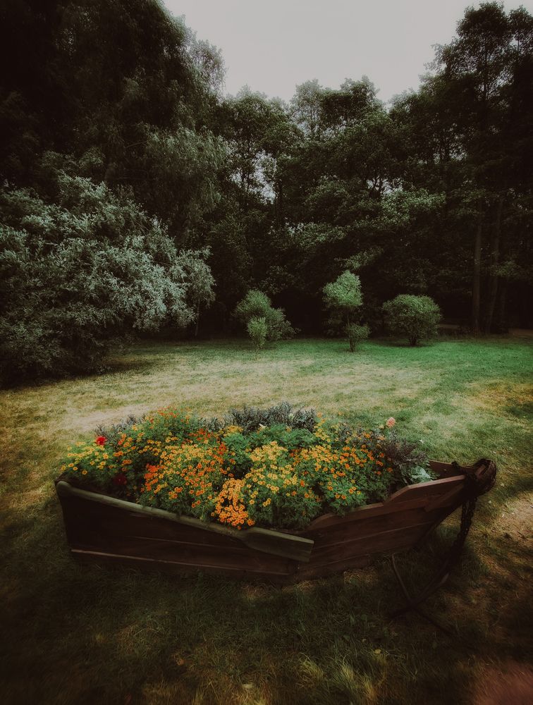 Photograph by Anastasia Uraeva