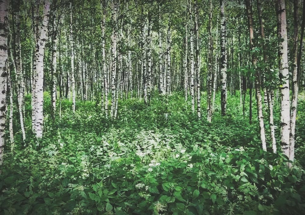 Photograph by Anastasia Uraeva