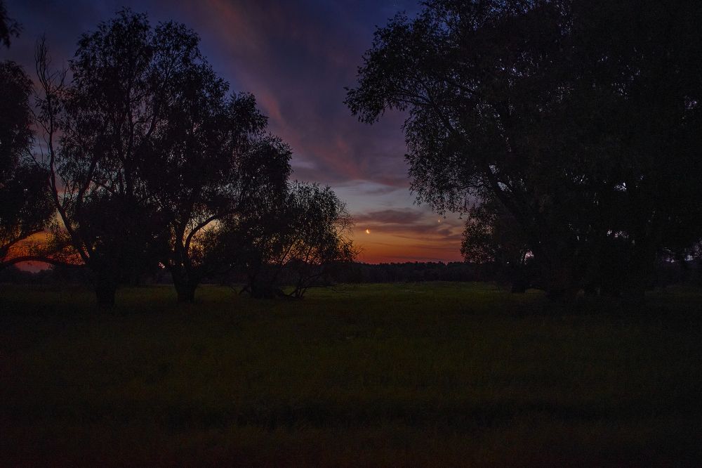 Фотография автора Игорь Игоревич