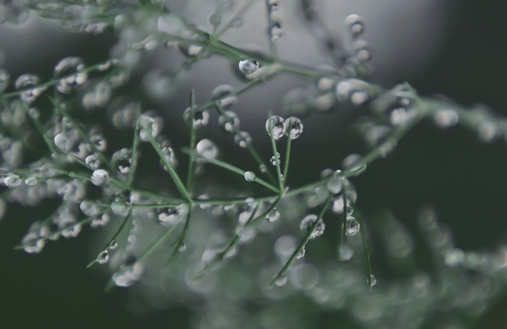 Photograph by Anna Solomina