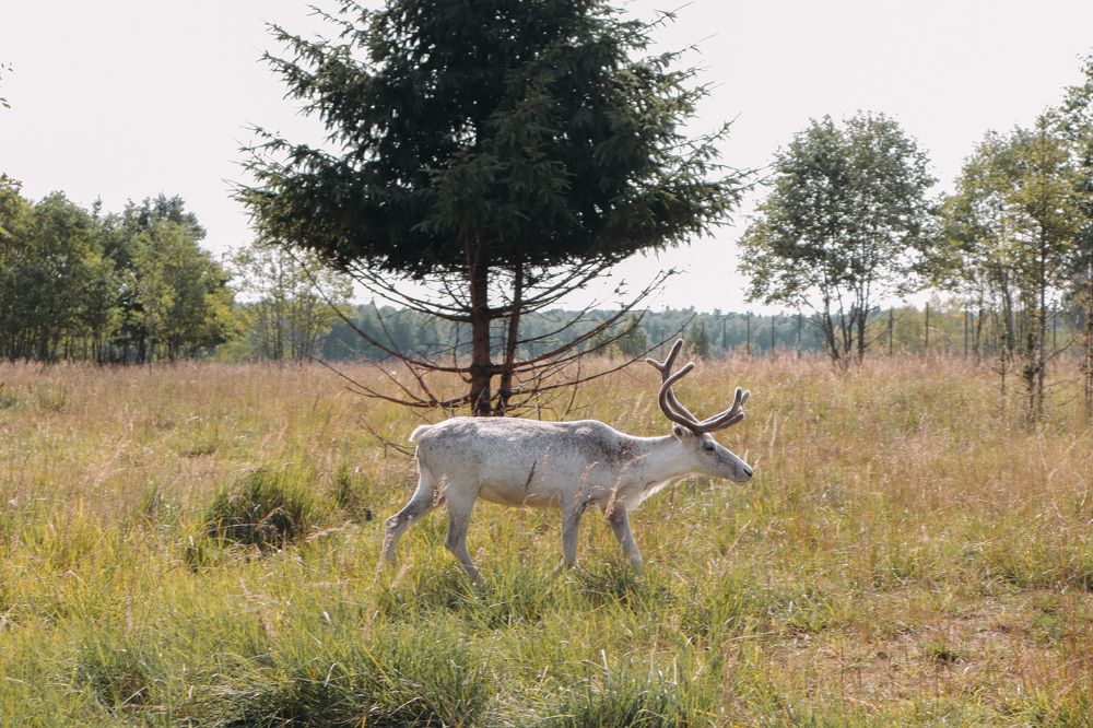 Photograph by Екатерина Федорова