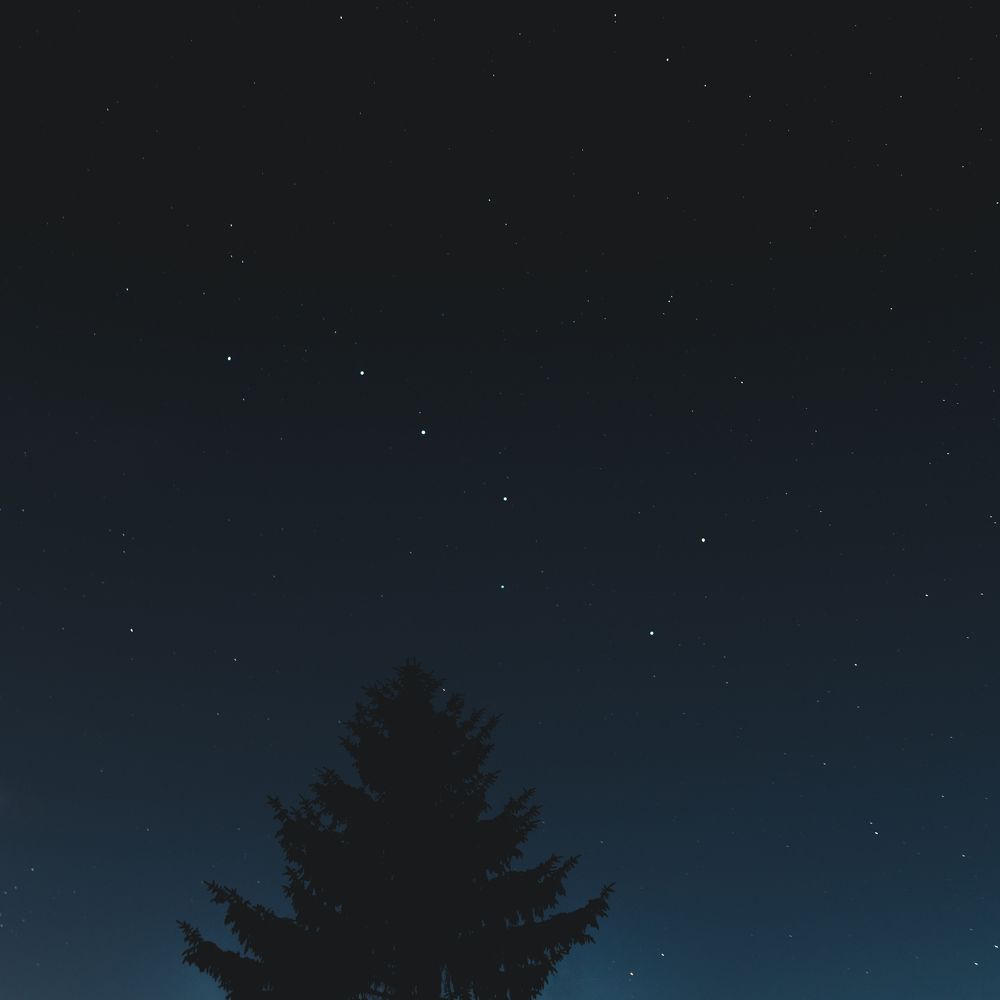 Photograph by Игорь Daseev