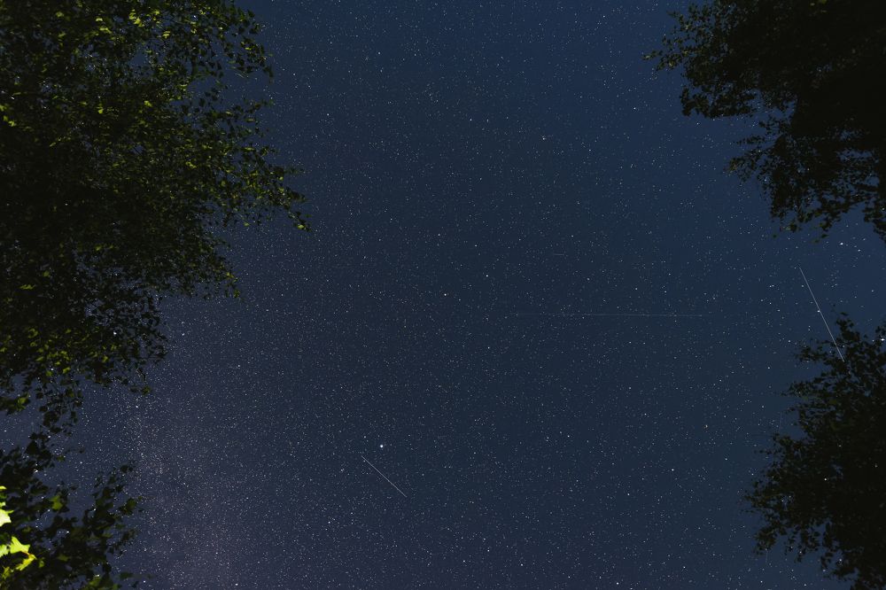 Photograph by Игорь Daseev