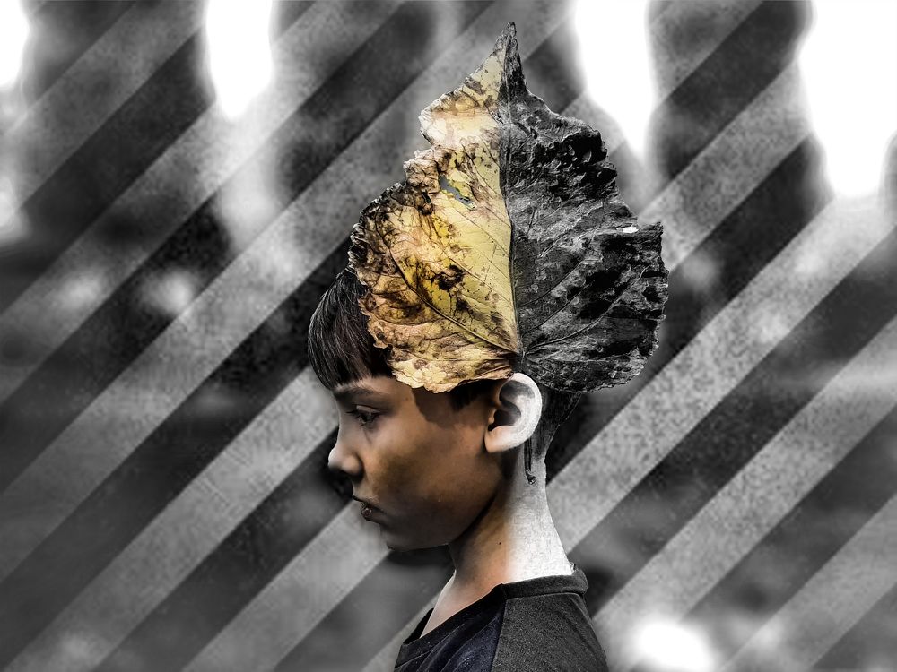 Фотография автора Дмитрий Нефёдов