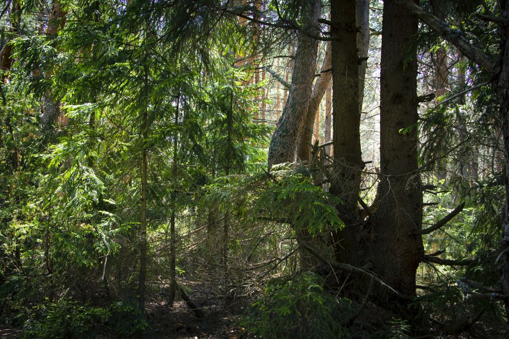 Photograph by Георгий