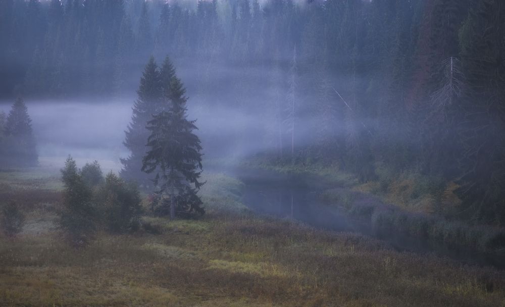 Photograph by Светлана Краюшкина