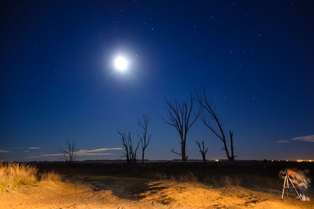 Photograph by Ricardo Kimmich