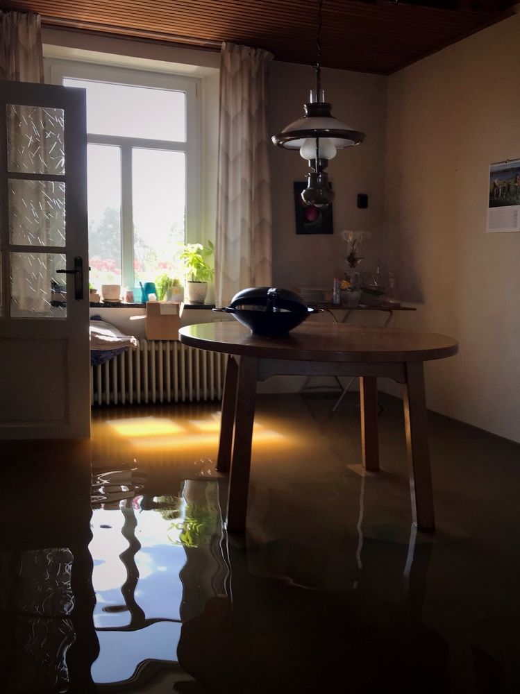 Photograph by Юлия Зырина