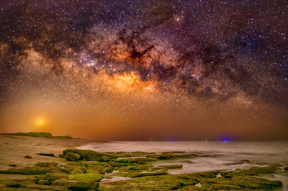 Be wild and free, just like the sea.