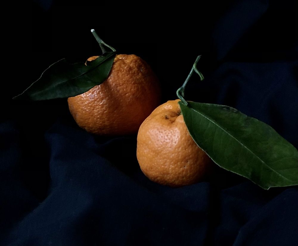 Photograph by Liubov