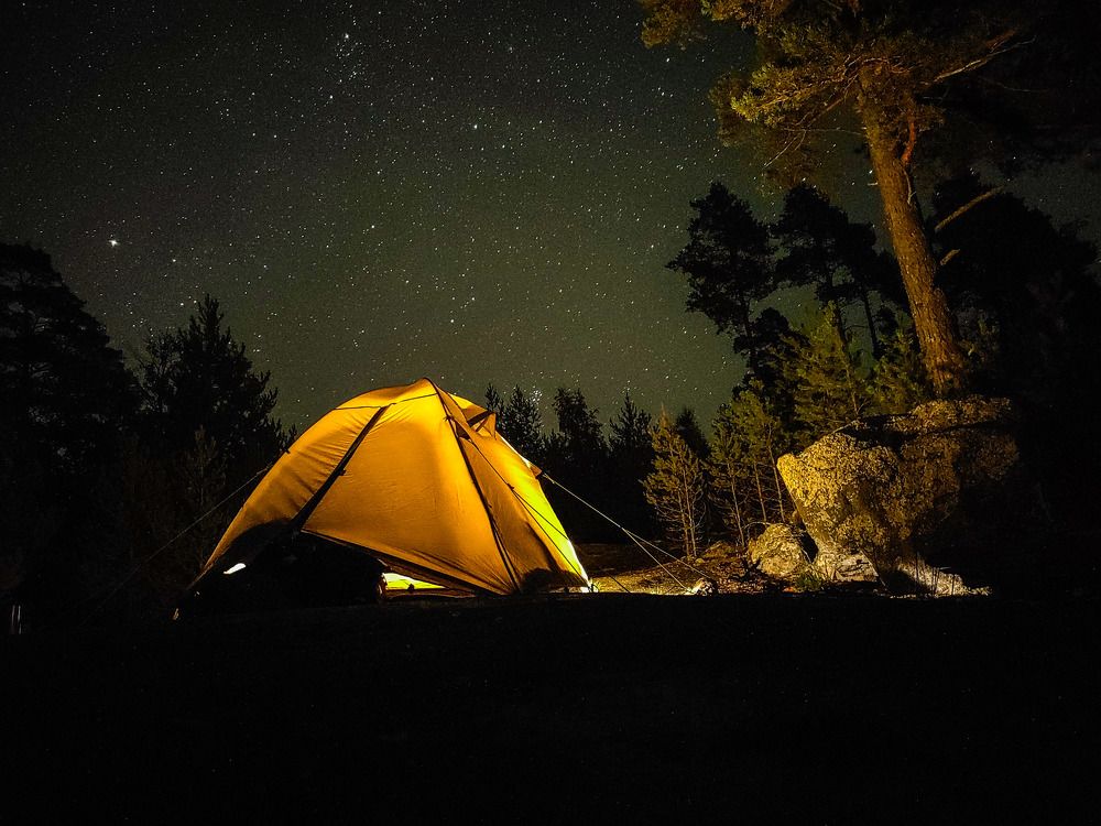 Под покровом ночи