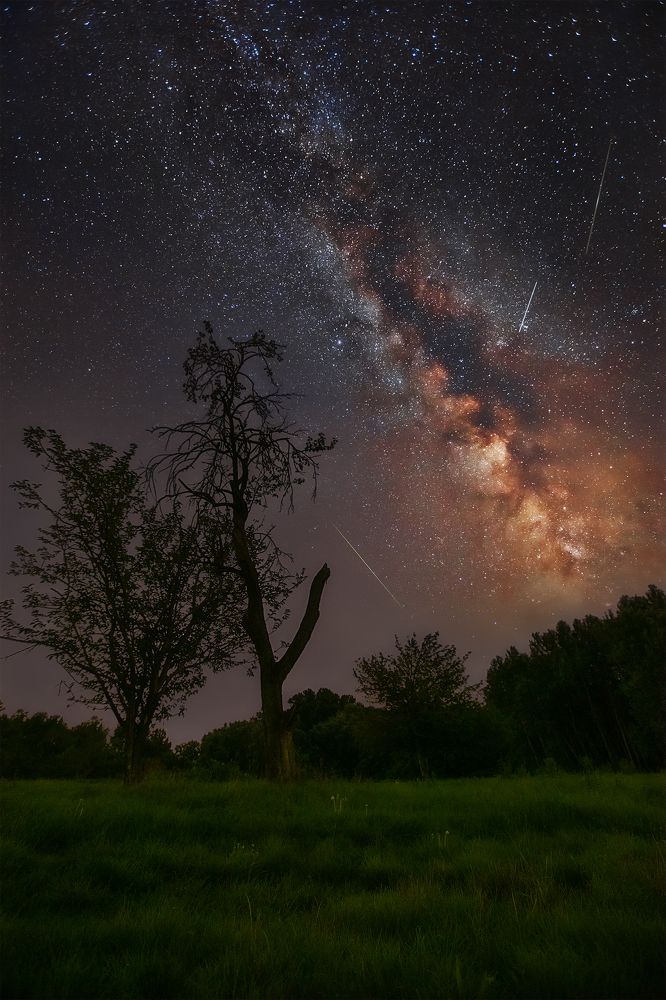 Photograph by Martin Kucera