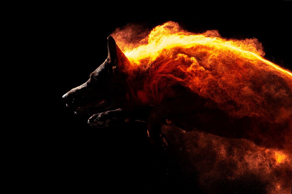 Фотография автора Оксана Серова