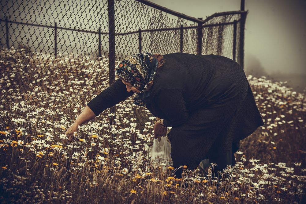 Photograph by DAMOUN POURNEMATI