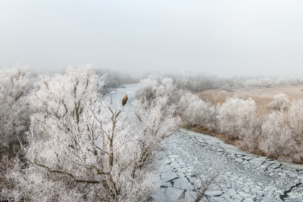 Photograph by Алексей Кашин
