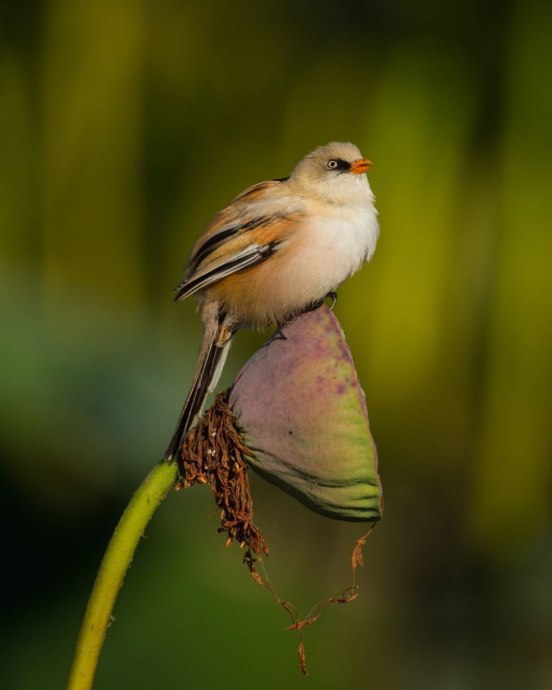 Photograph by Алексей Кашин