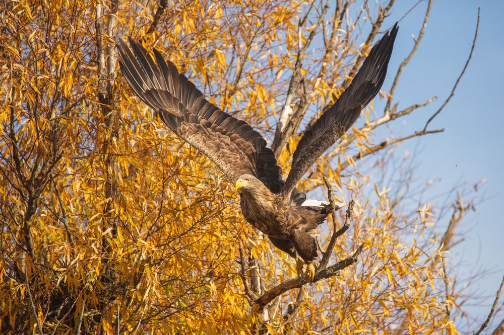Photograph by Алексей Кашин