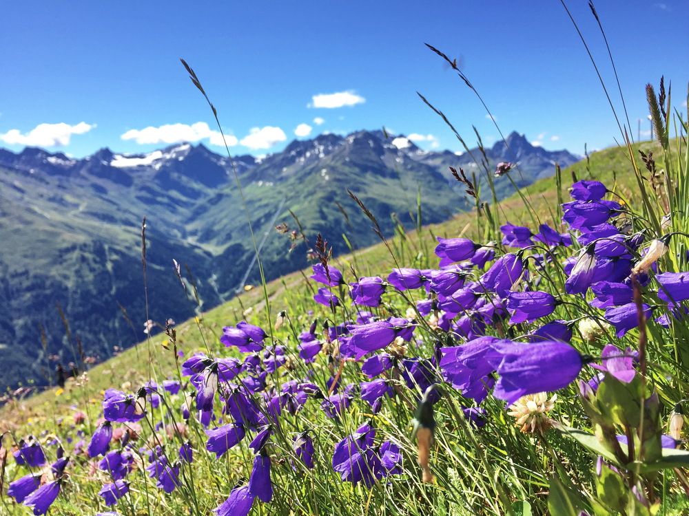 Photograph by Tatiana Serova