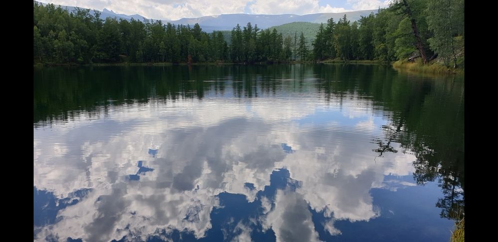 Photograph by Lina D