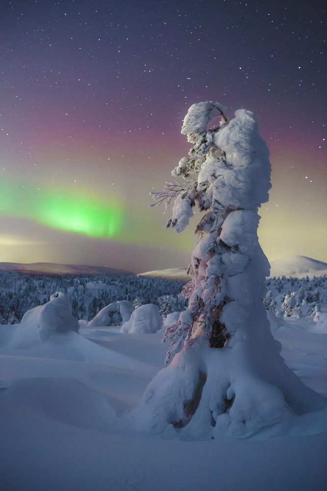 Фотография автора Алексей Новиков