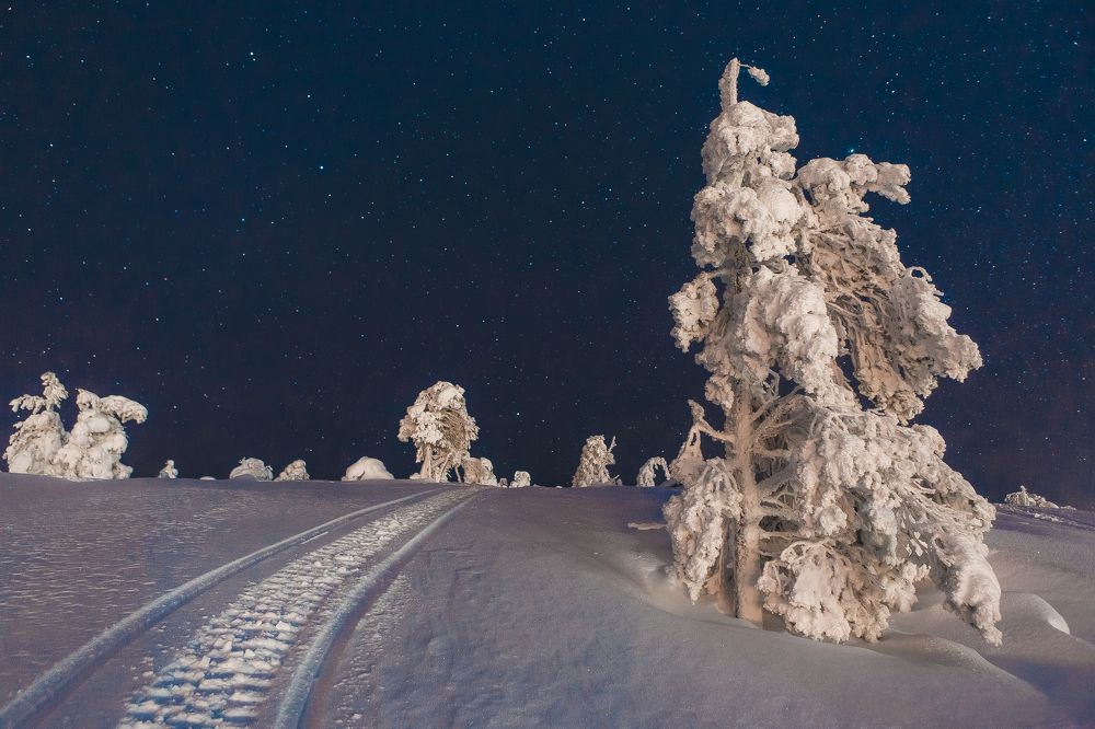 Фотография автора Алексей Новиков