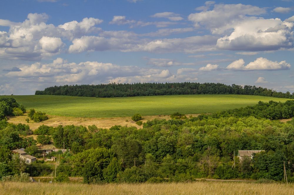 Photograph by M. Steklov