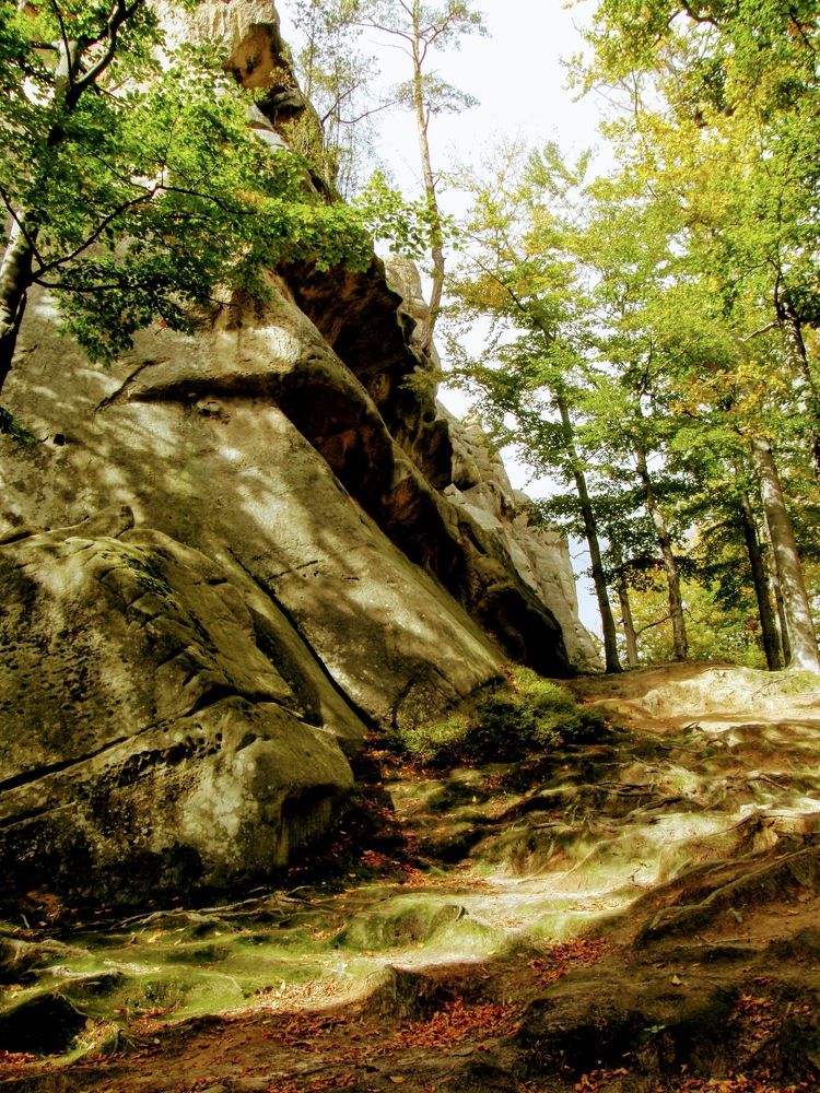 Photograph by Сергей Зиньковский