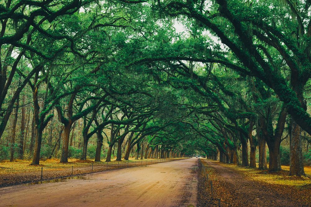 Photograph by Gargee Chowdhury