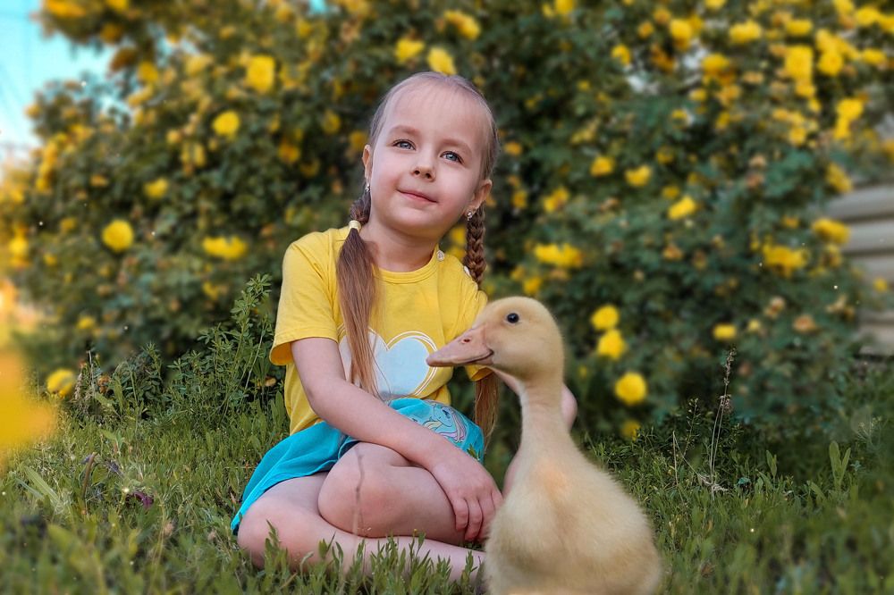 Photograph by Ольга Миронченко