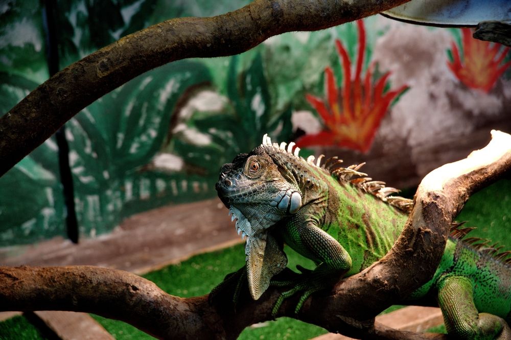 Photograph by АНДРЕЙ Роев