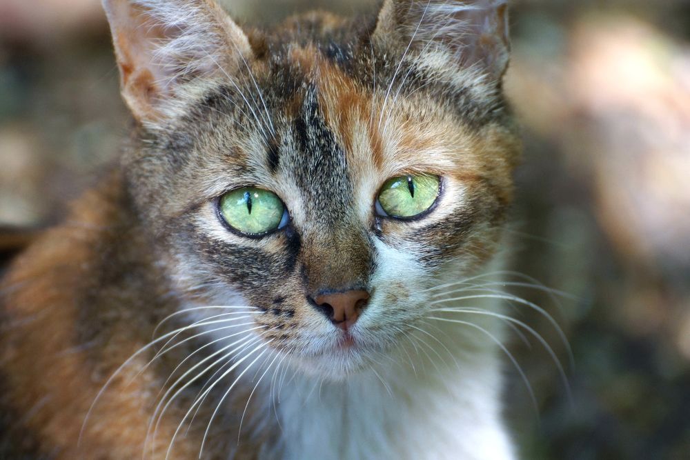 Photograph by АНДРЕЙ Роев