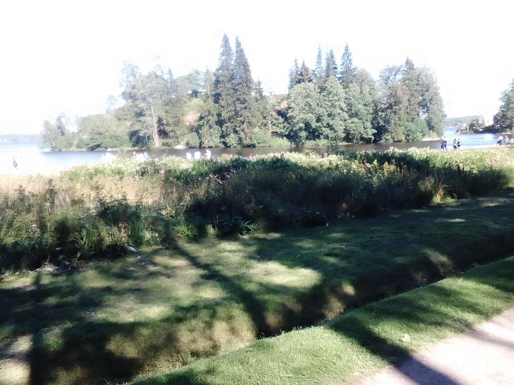 Photograph by Irina Mihailovskaya