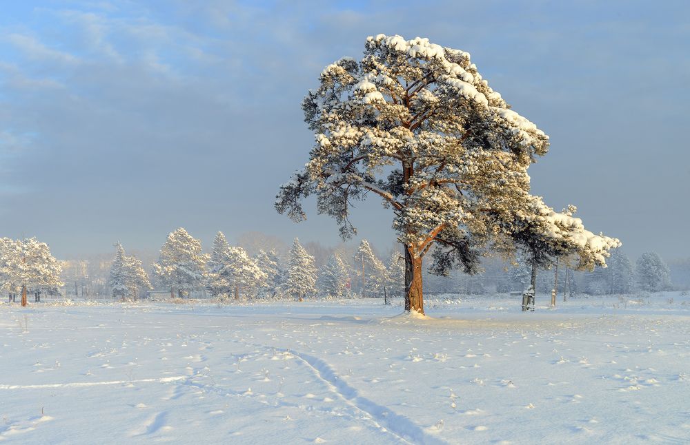 Photograph by Воинков Виктор