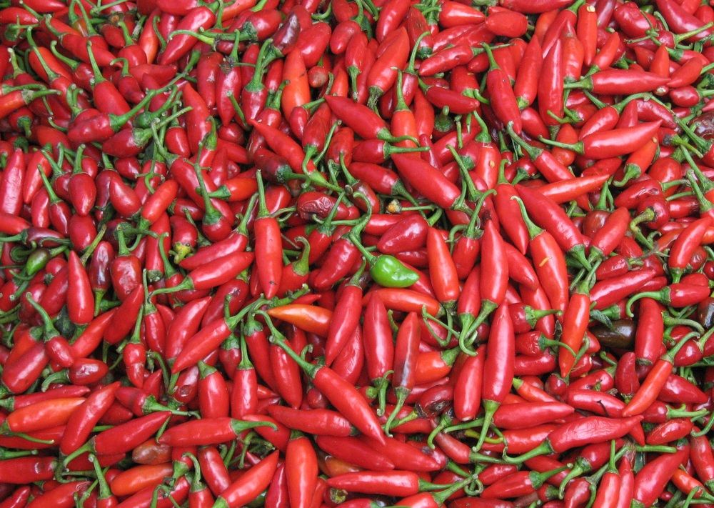 RED CHILLIES