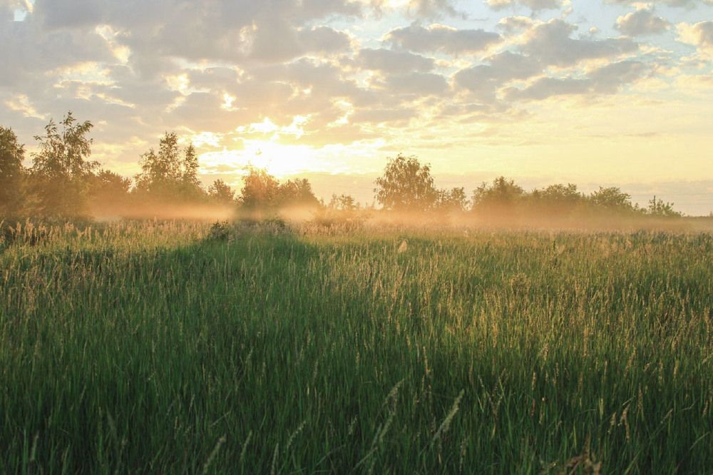 Photograph by Андрей Астафьев