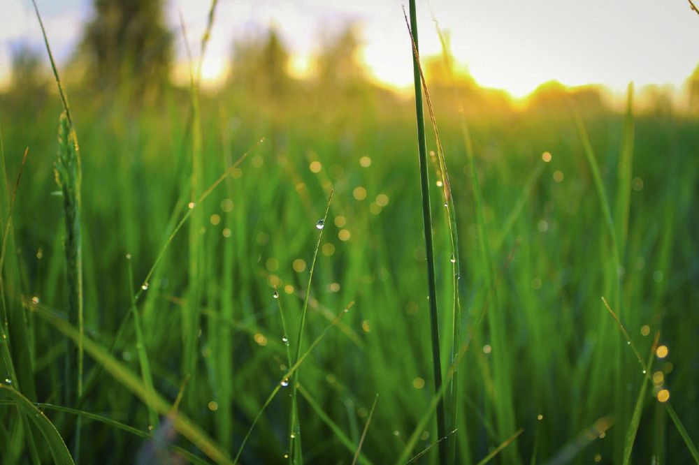 Photograph by Андрей Астафьев