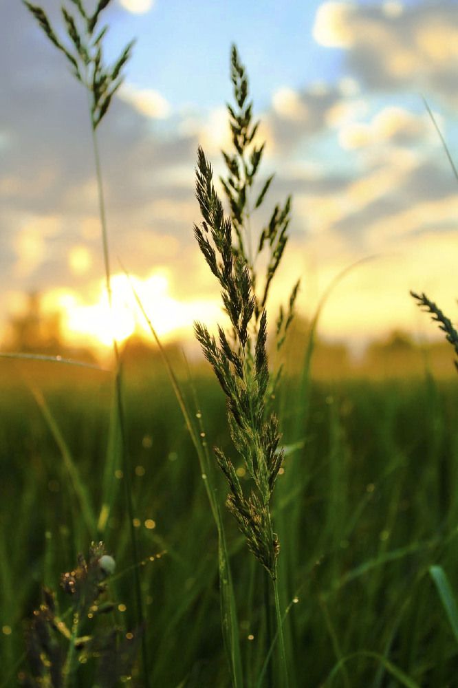 Photograph by Андрей Астафьев