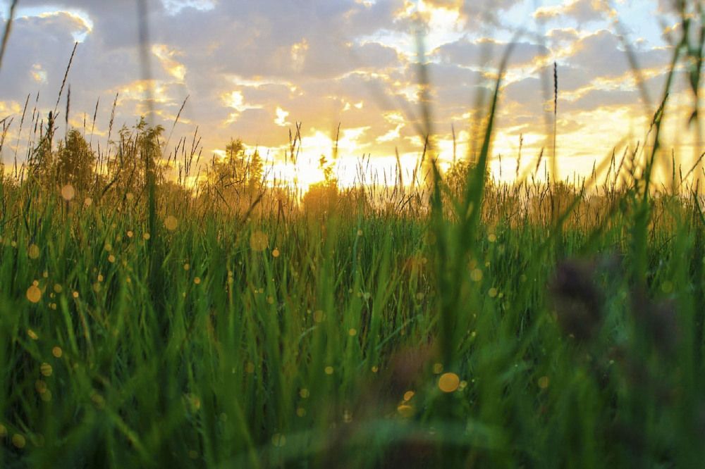 Photograph by Андрей Астафьев