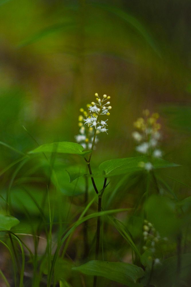 Photograph by Михаил Назаров
