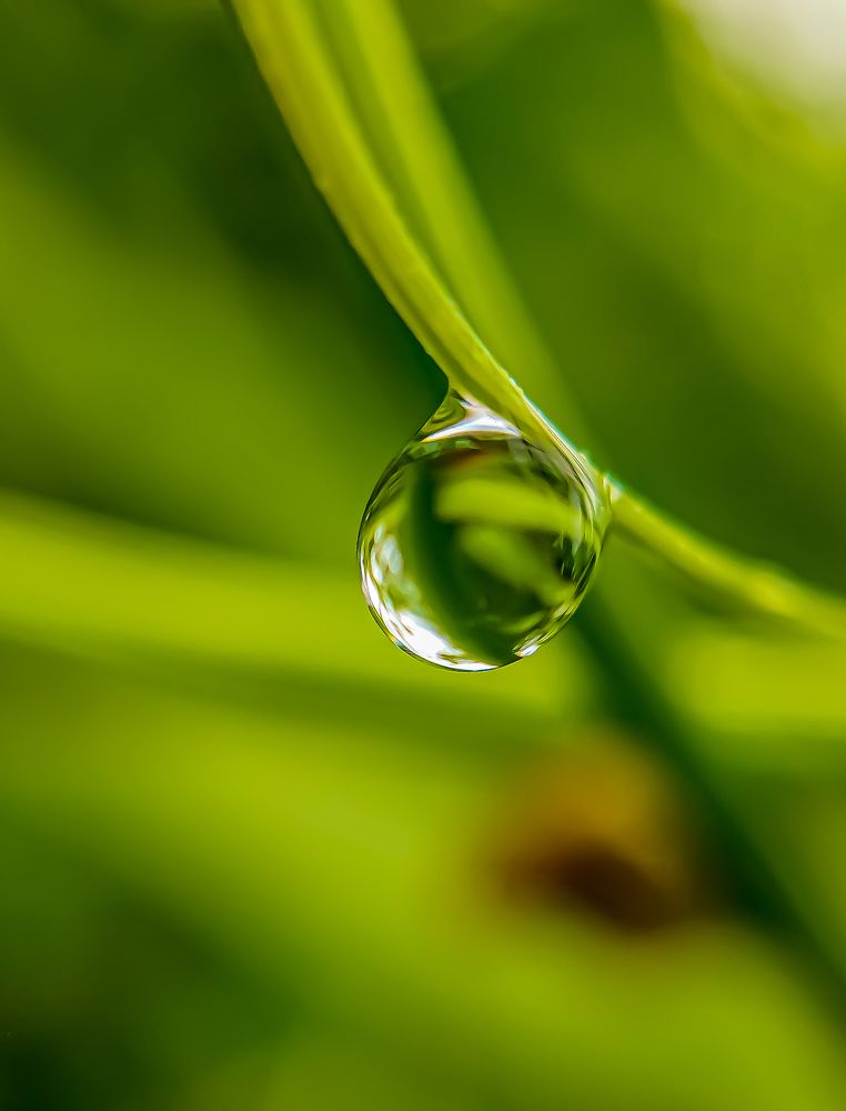 Photograph by Jai Shankar Chirivella