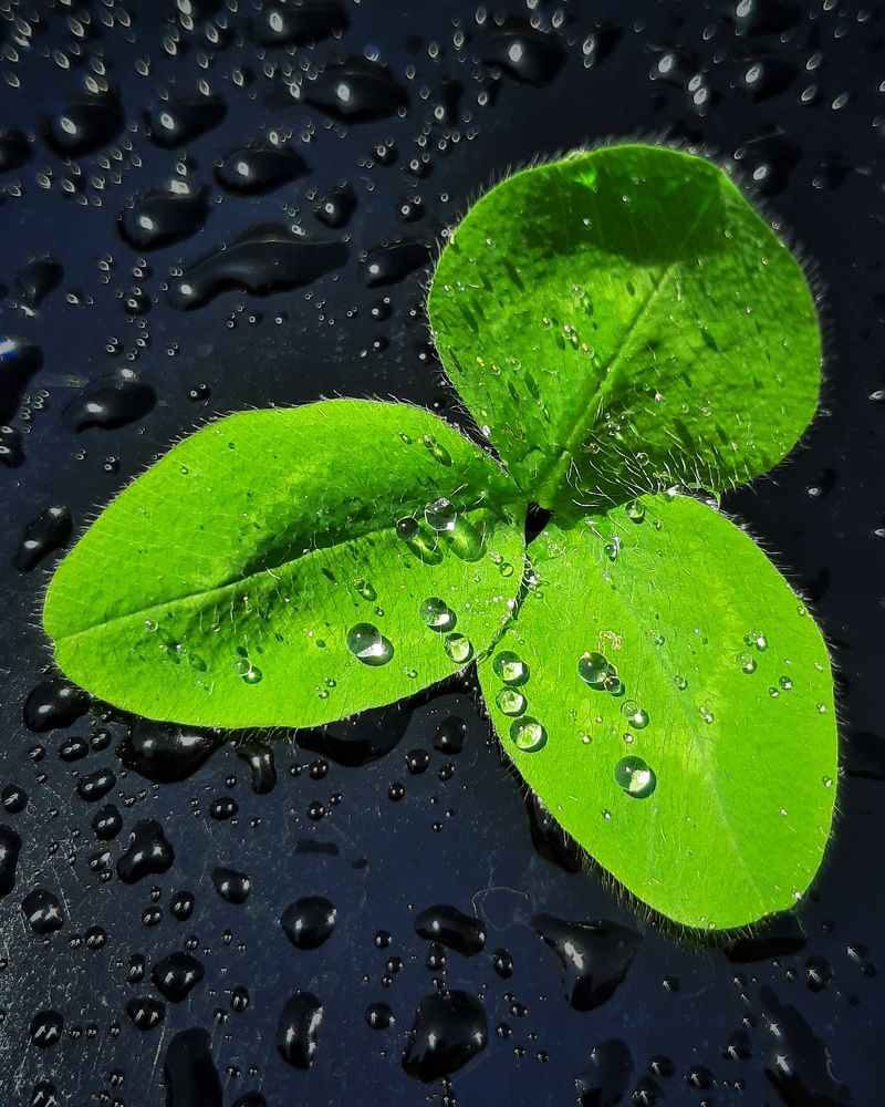 Photograph by Mobigraf