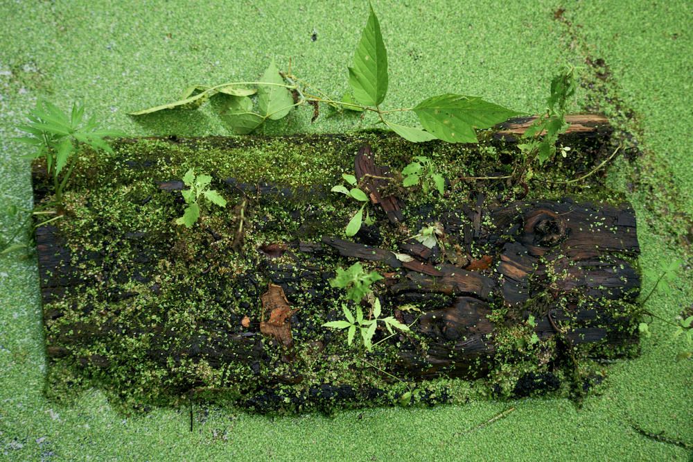 Photograph by Yuliya Khramova