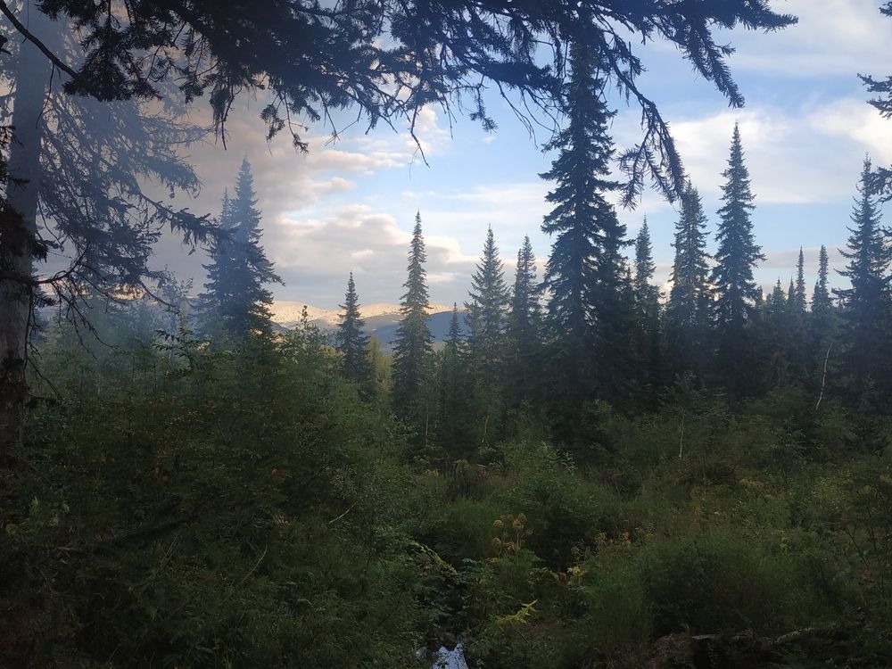 Photograph by Екатерина Евгеньевна