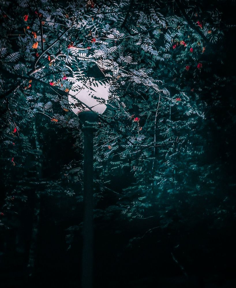 Photograph by Daria