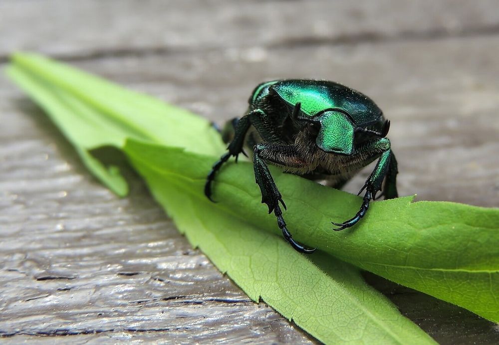 Фотография автора Роман Савоцкий