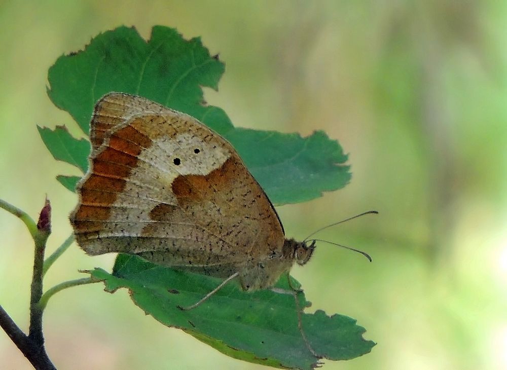 Фотография автора Роман Савоцкий